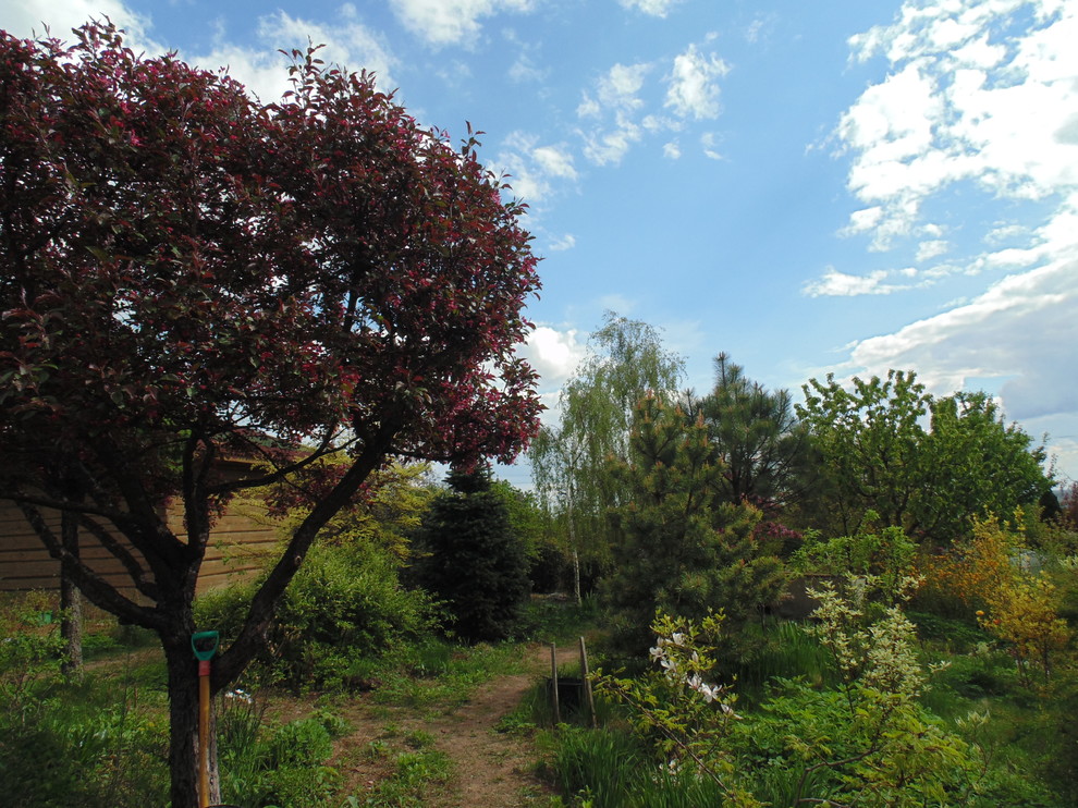 Наш собственный сад