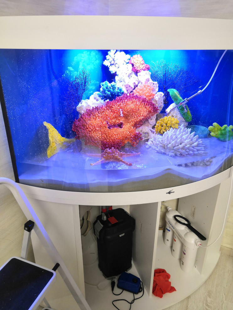 Обложка проекта: PA_2021_01