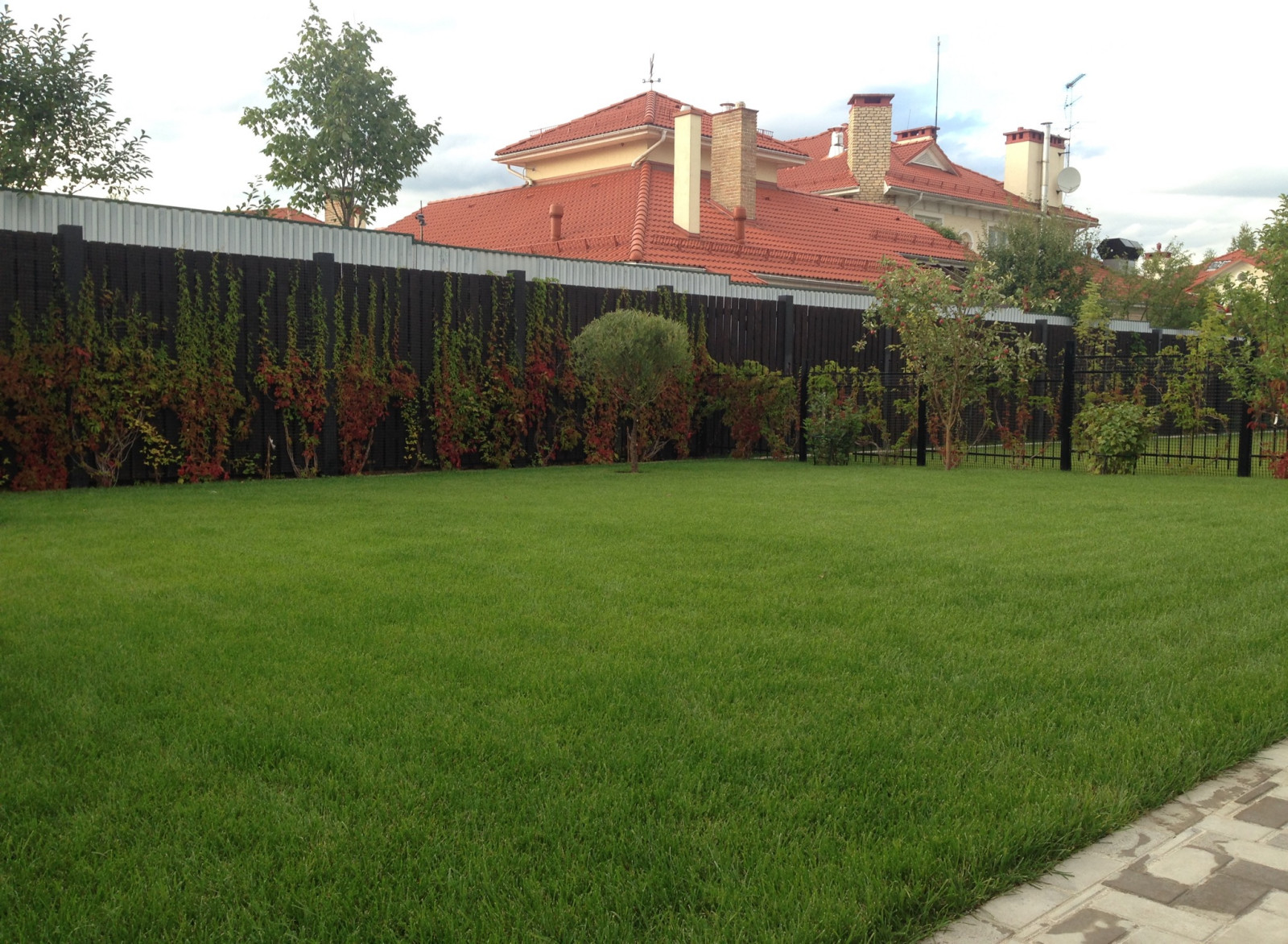 Обложка проекта: Новые Вешки (я)