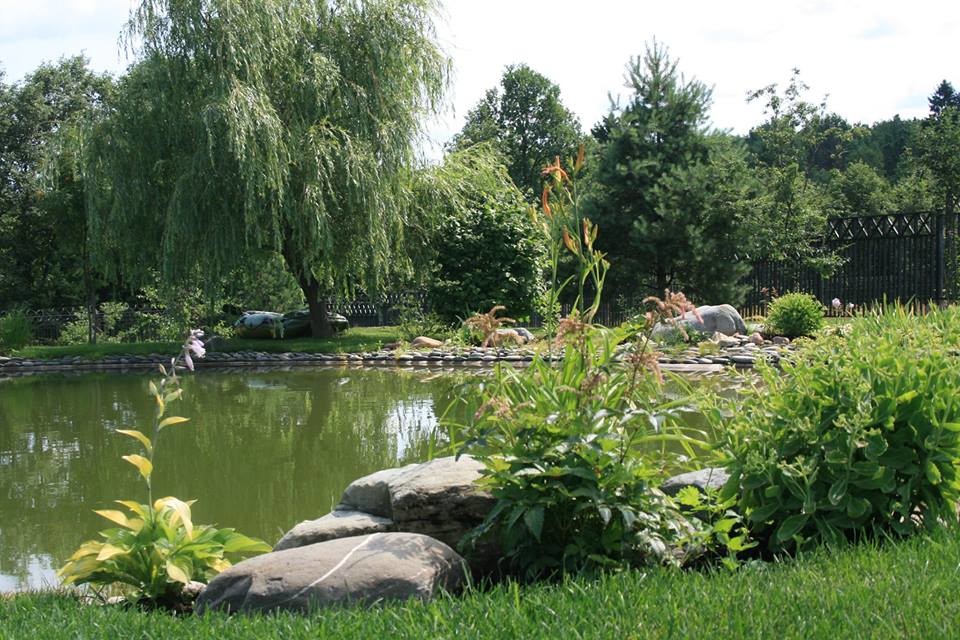 Ландшафтный дизайн