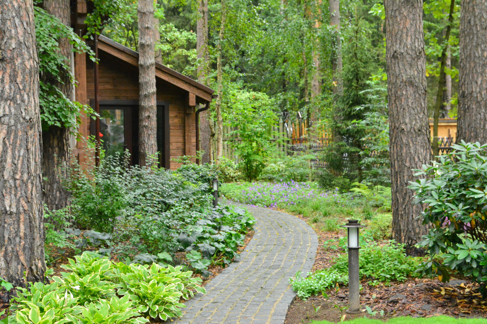 Заповедный бор