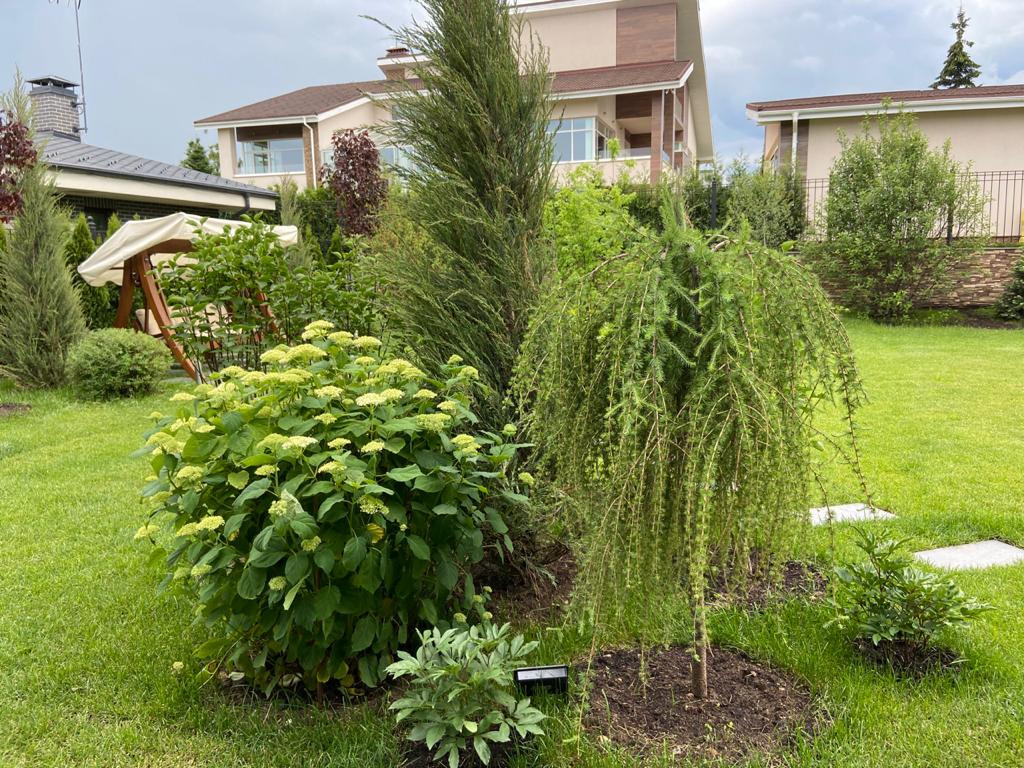 Обложка проекта: Миллениум