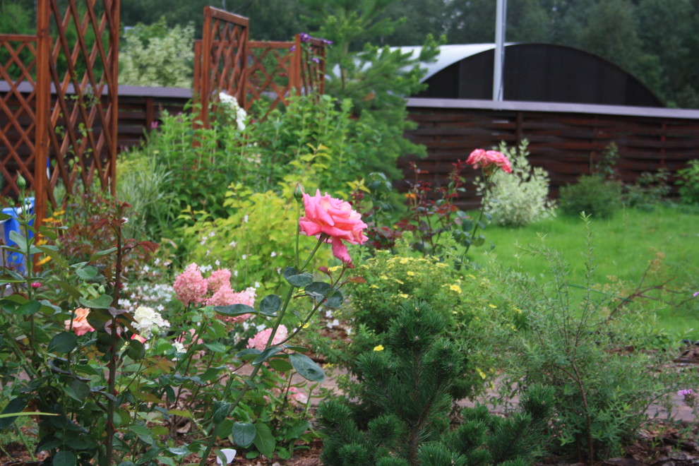 Истринские дачи