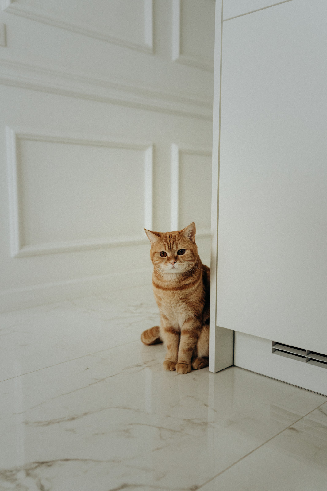 Обложка проекта: квартира в стиле неоклассика