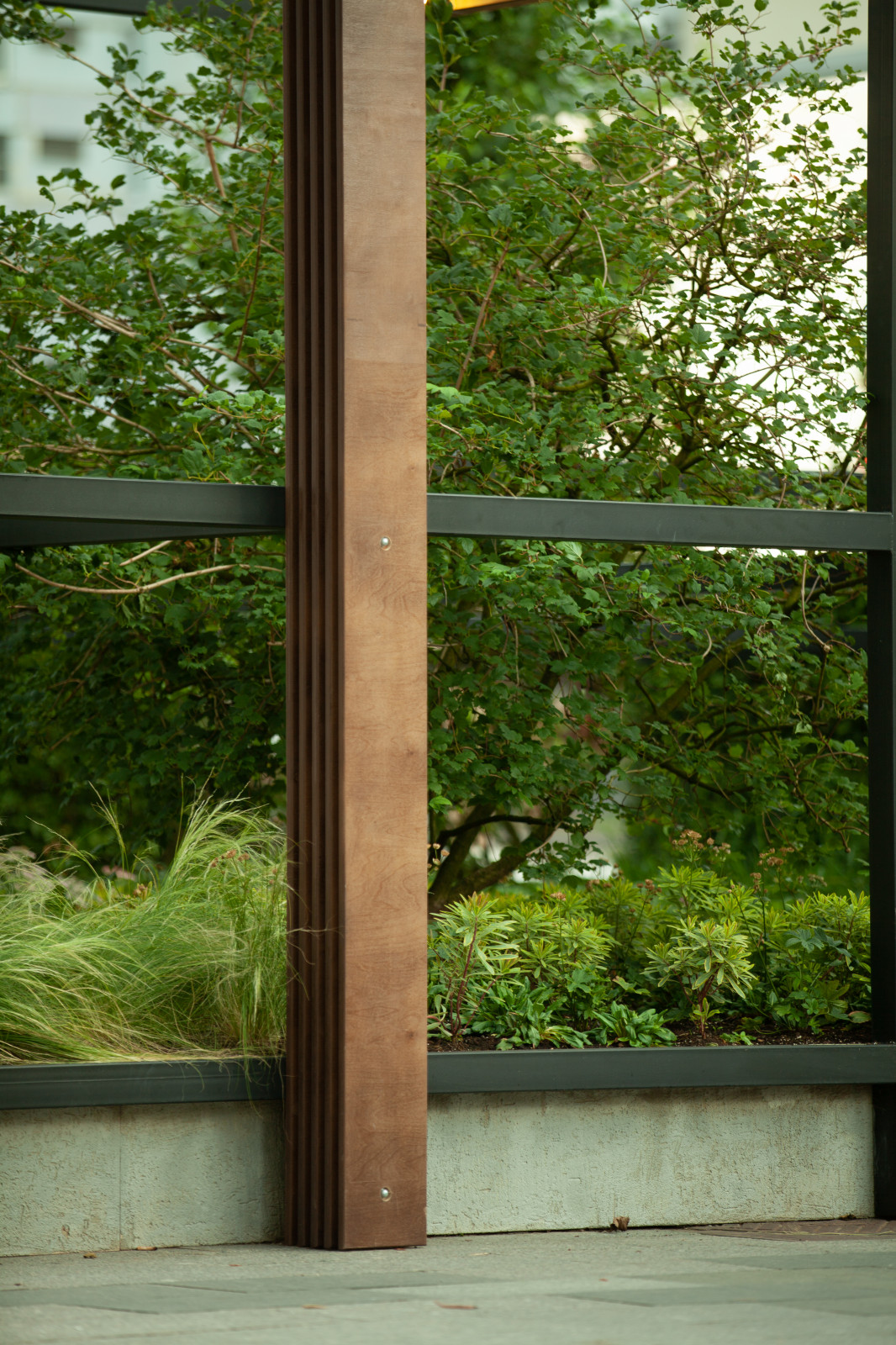 Архитектура природы