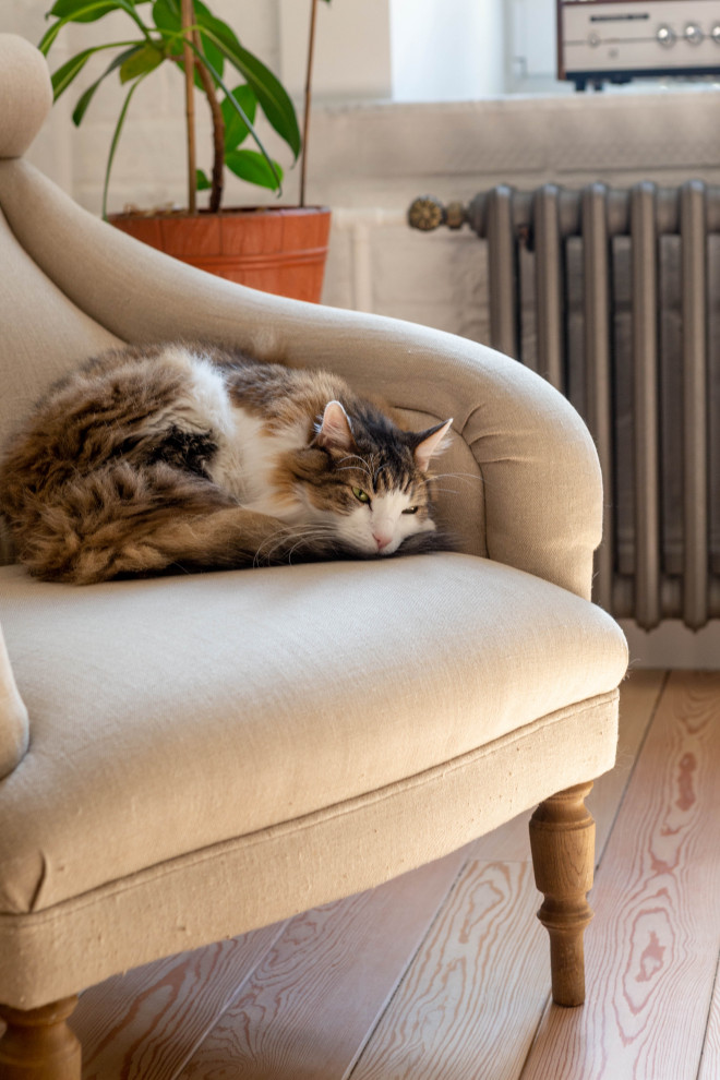 Современная классика