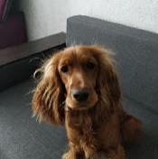 Сергей Захожий