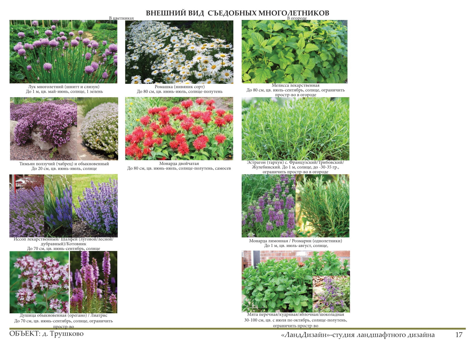 Проект ландшафтного дизайна