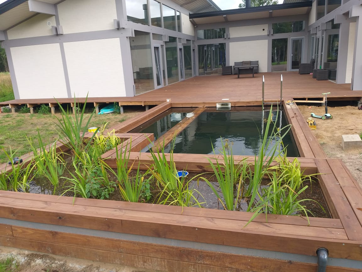 Обложка проекта: Живой бассейн в Синявино