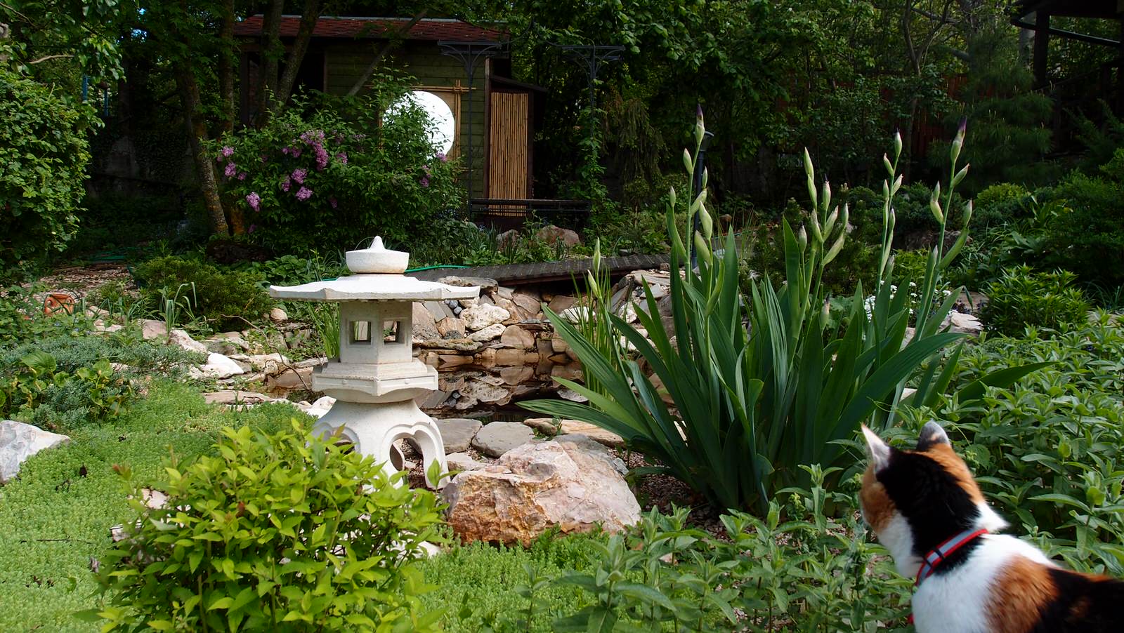 Они сошлись Восток и Запад