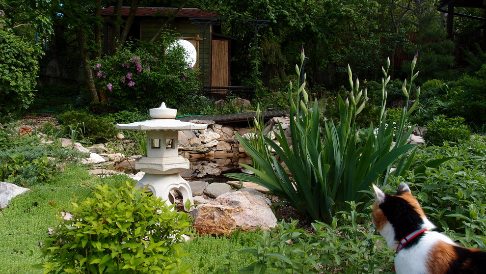 Они сошлись Восток и Запад