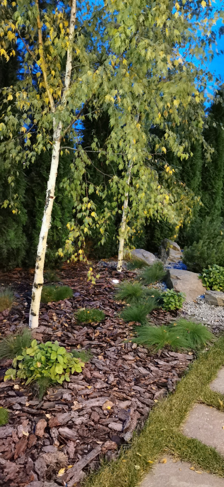 Благоустройство участка 20 соток в КП Пестово