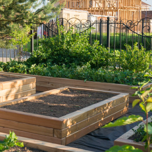 Наталья Каменева