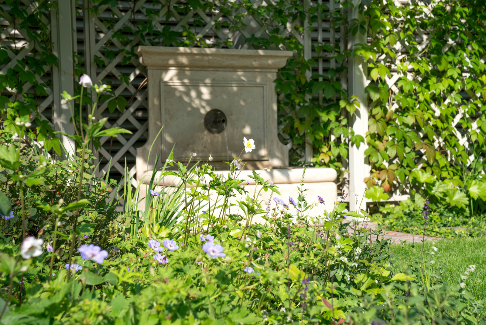 Очарование английского сада КП Балтия 2018 г