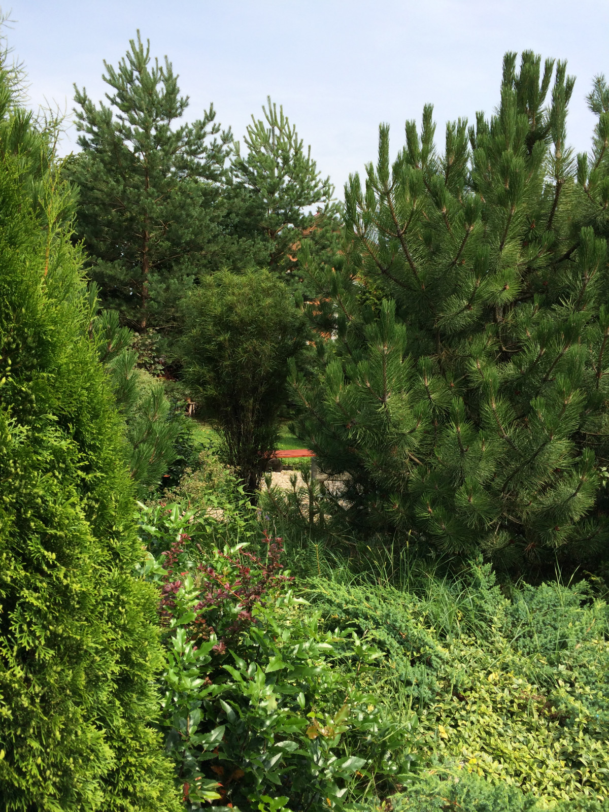 Обложка проекта: пос. Елизарово, усадьба Владелен