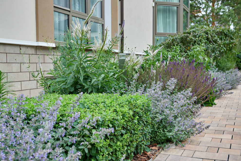 Чистые линии