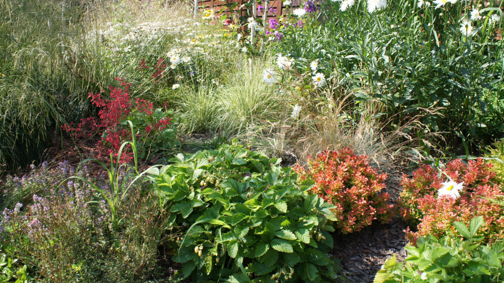 Прохорово лето 2017