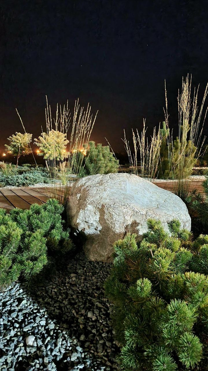 Реализация проекта Сад Реки