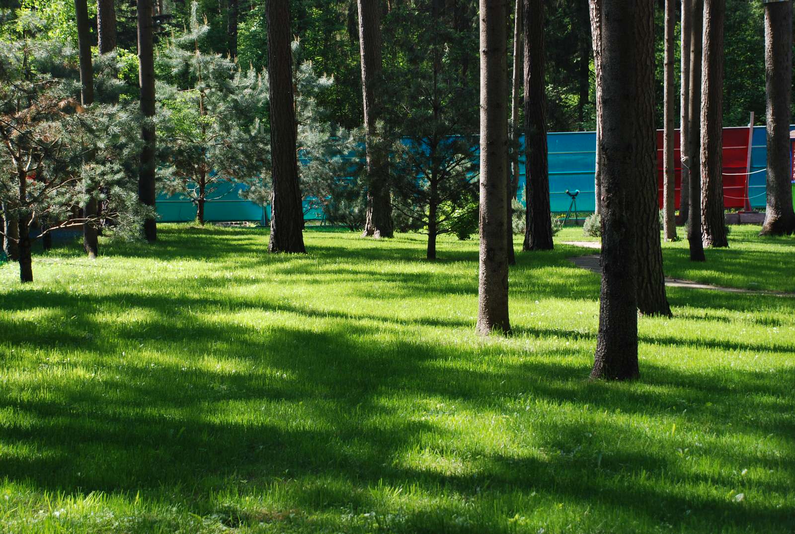 Участок с водоемом в КП "Сосновый бор"