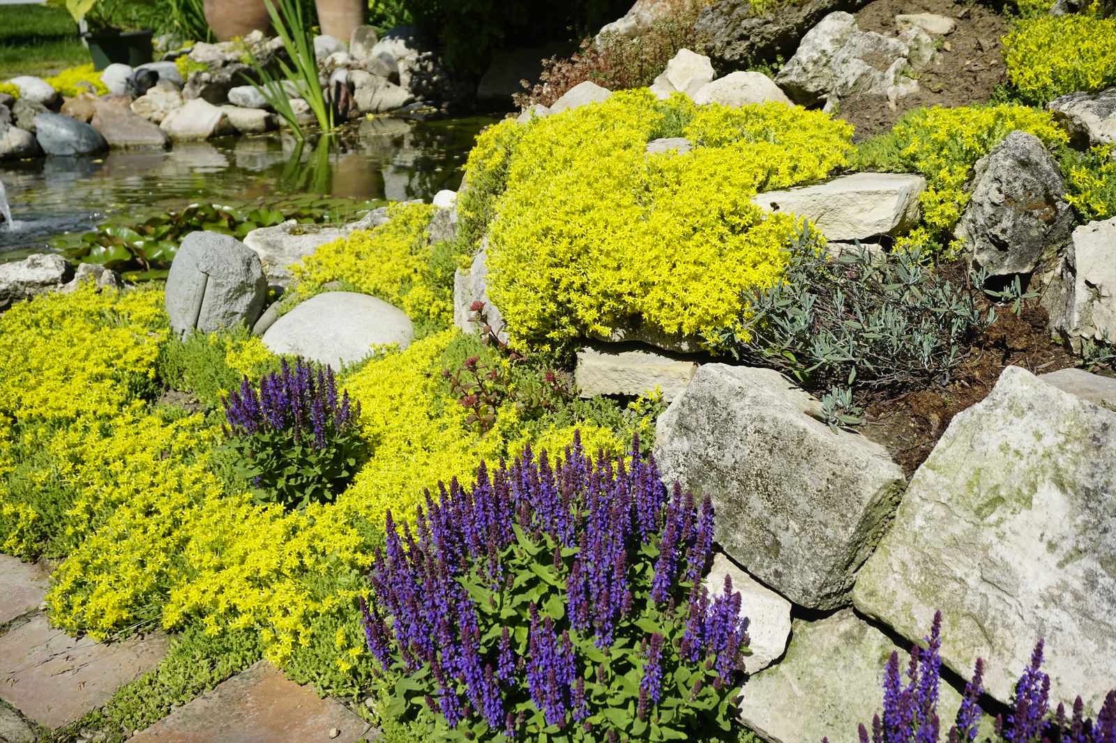 Эльмир Алисултанов