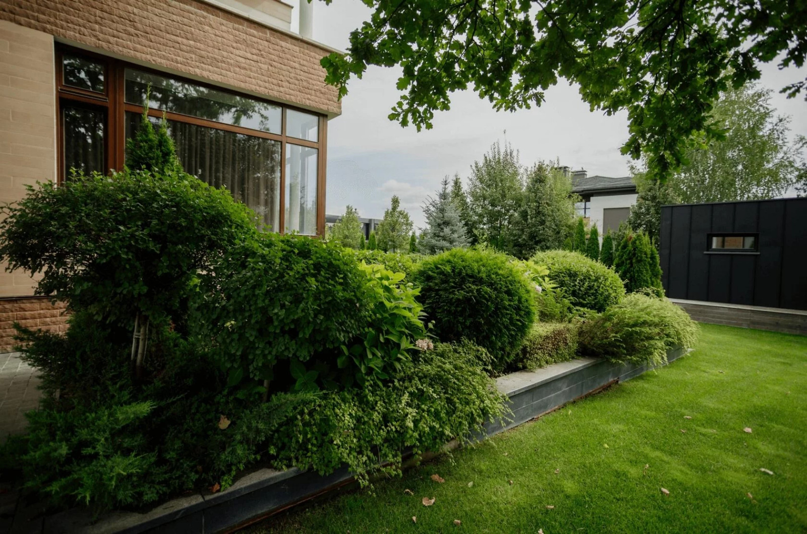 Обложка проекта: Мэдисон Парк