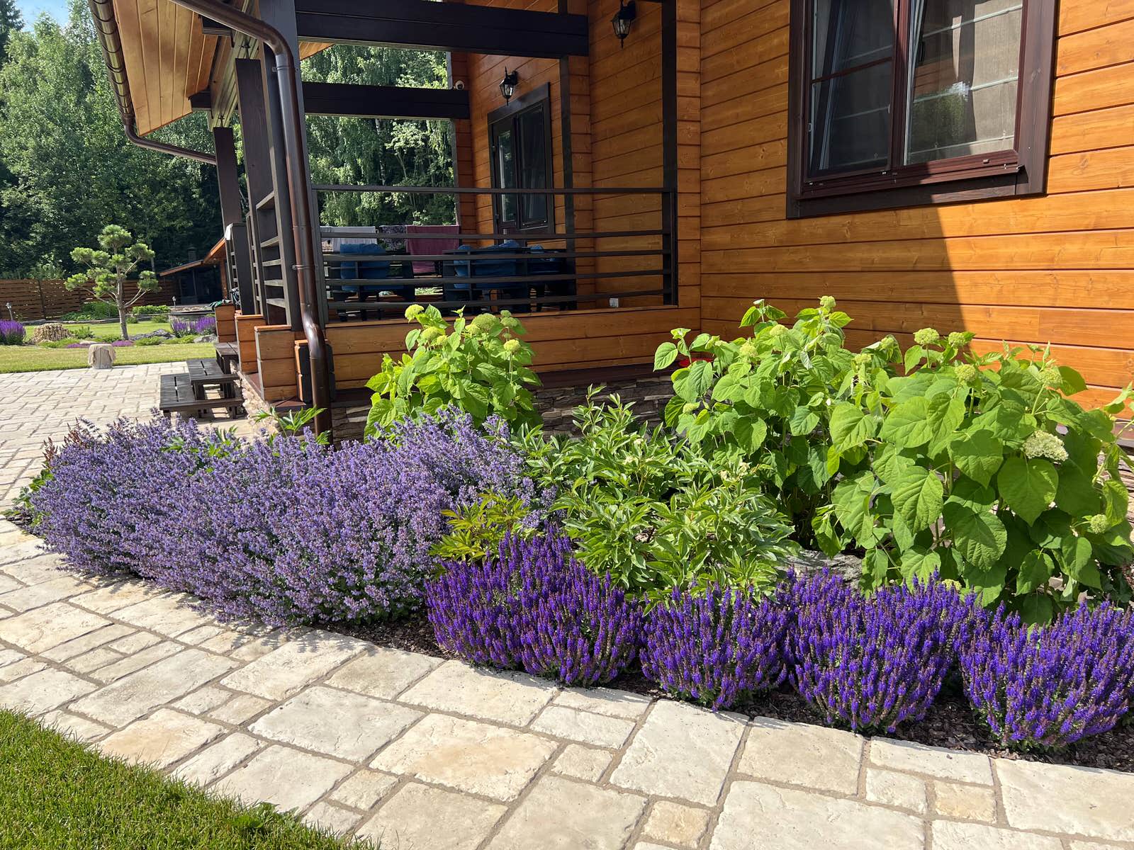 Семейный сад