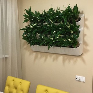 Павел Гулев