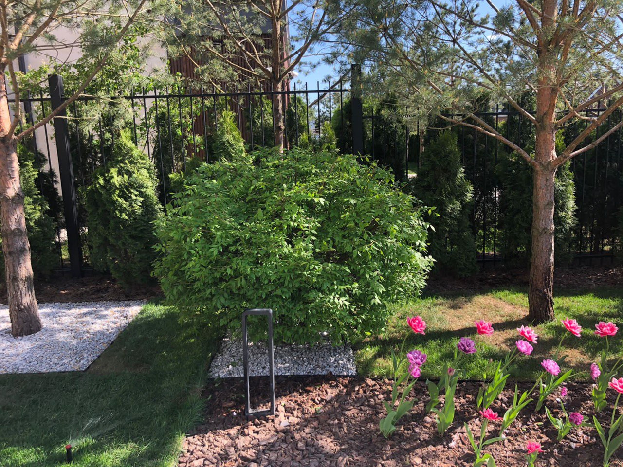 Сад в квадрате