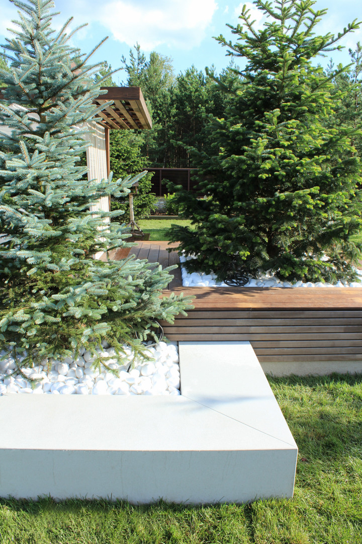 Черноголовка