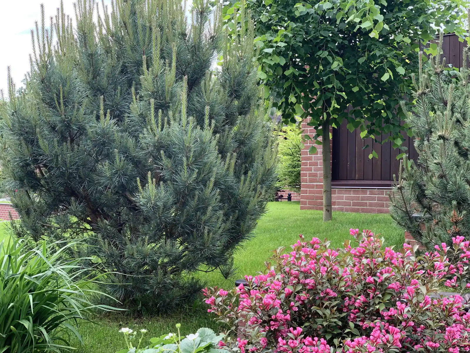 «САД ТРЕХ ПОКОЛЕНИЙ»