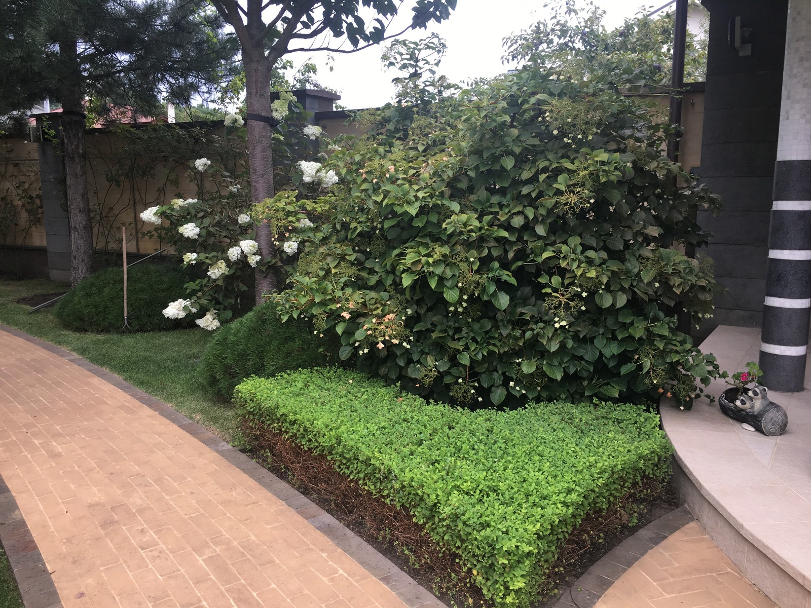 Итальянский сад с пиньями в городе