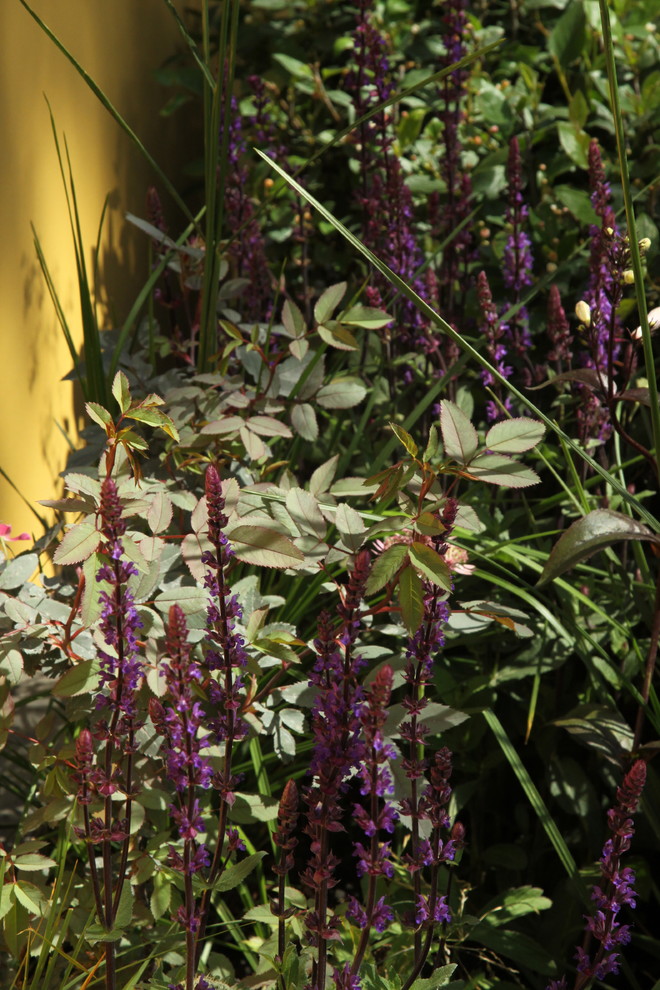 Выставочный сад "Азбука сада"