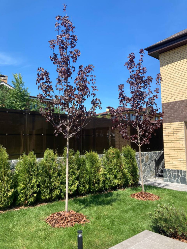 Минимализм