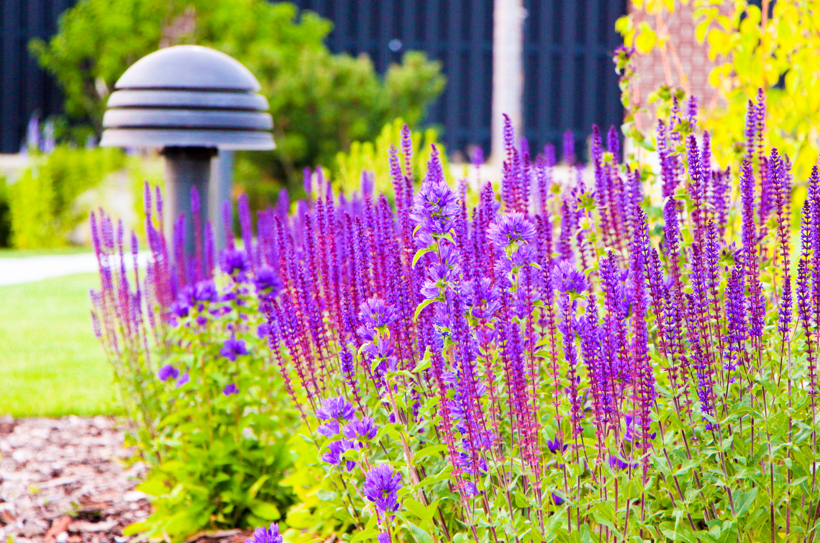 Горки-10, 2017-2020 г.г.