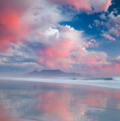 Елизавета Бородич