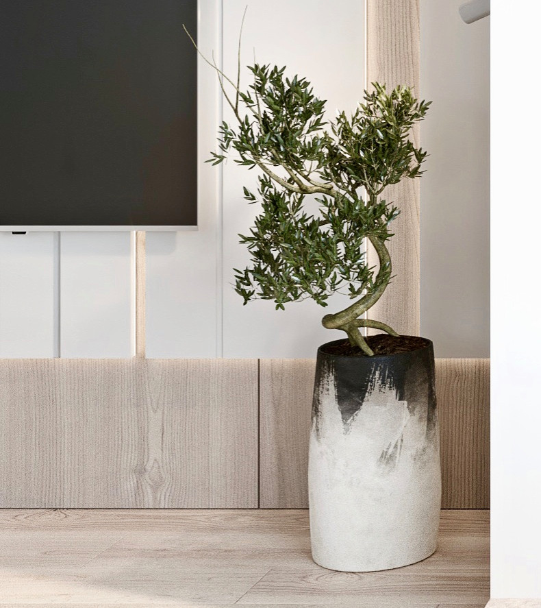 2design_Легенда_Дальневосточного_спб