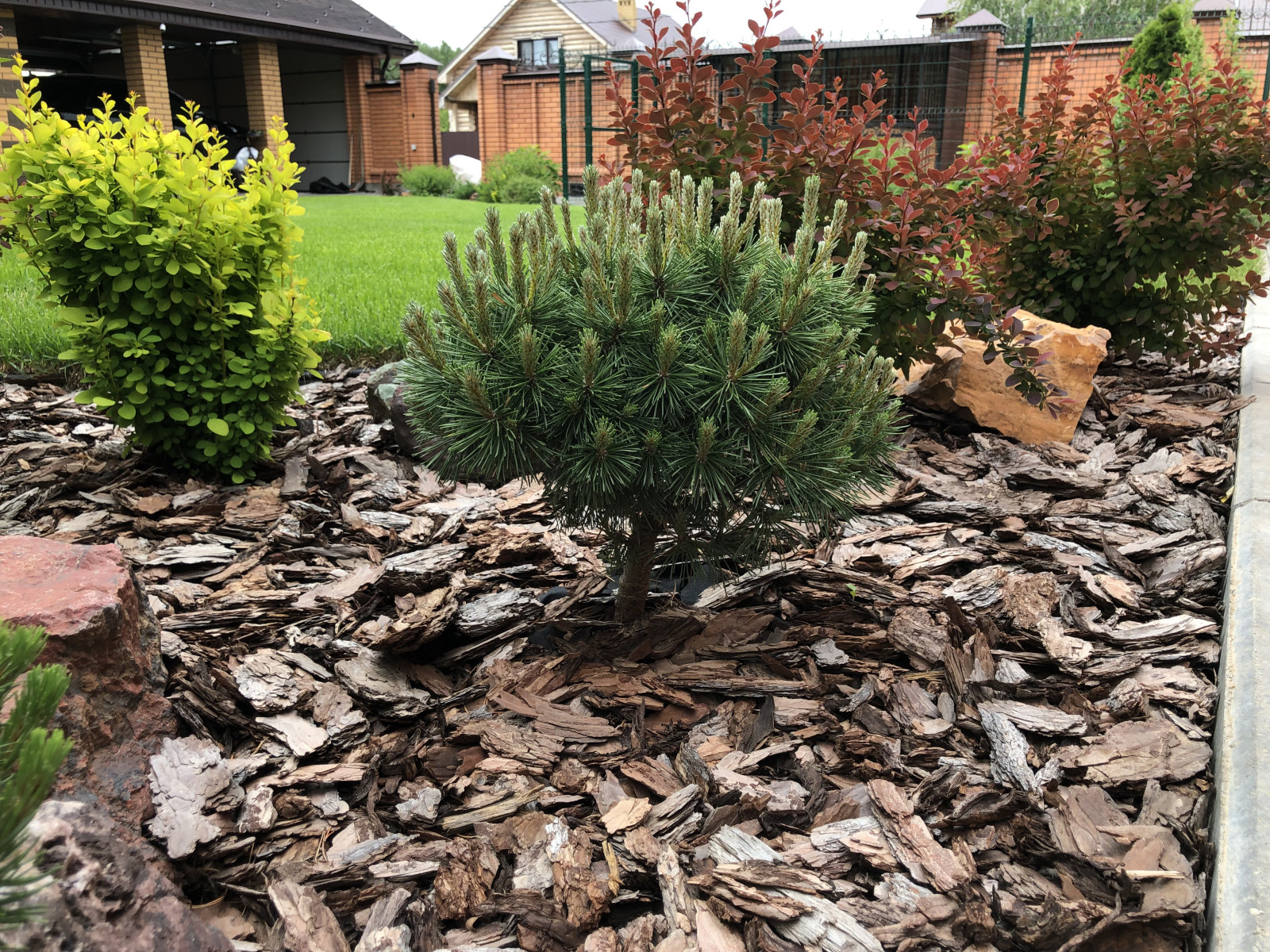 Вознесение