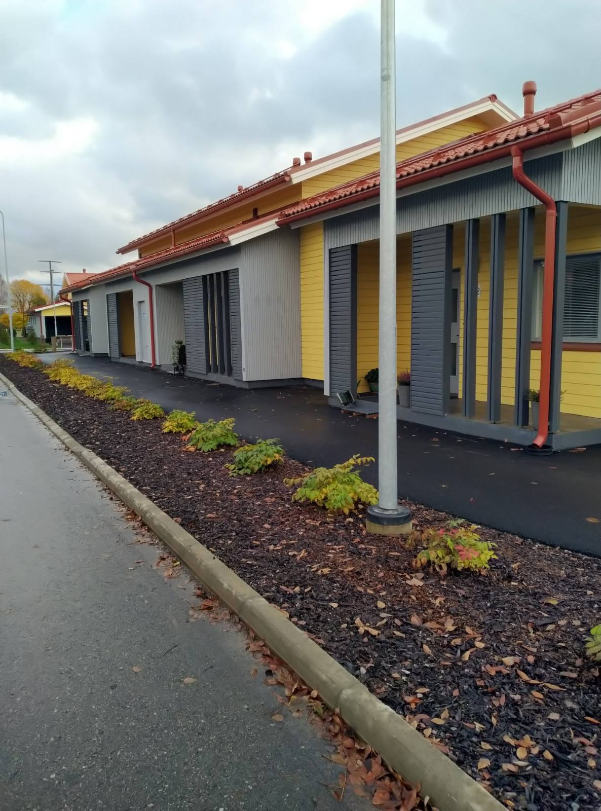 Озеленение придомовых территорий 2020