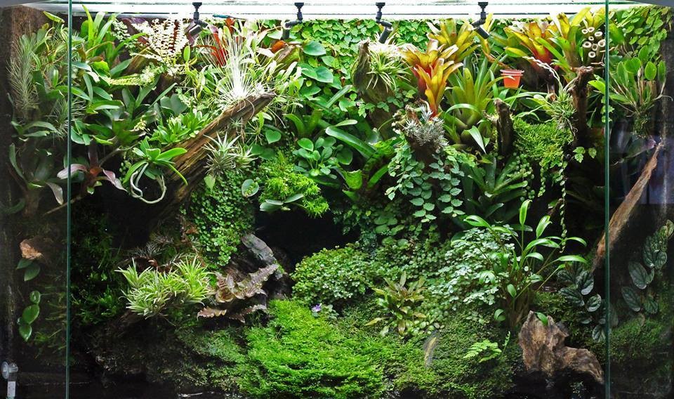 Полюдариум