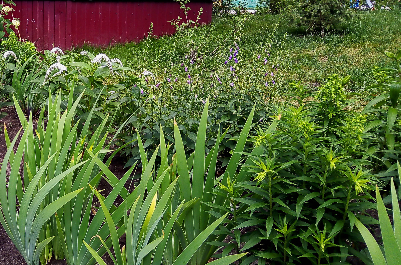 Цветники на территории храма