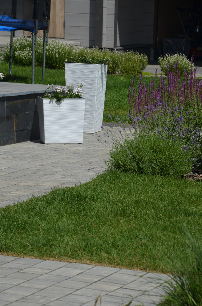 Мягкий и пушистый