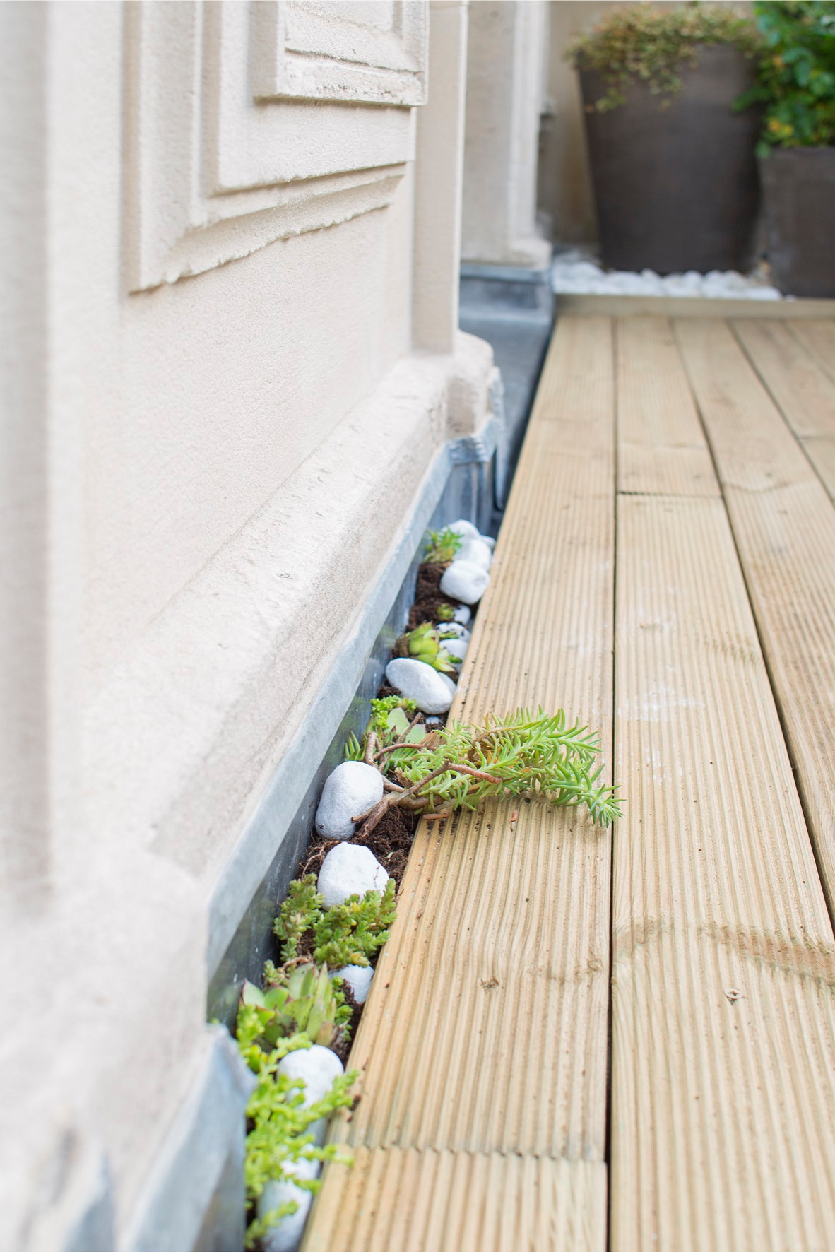 До и после: Балкон в Париже, где выращивают помидоры и мяту