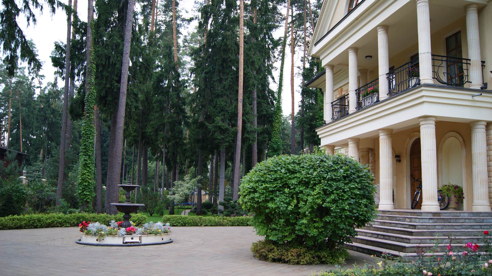 Сосновый бор