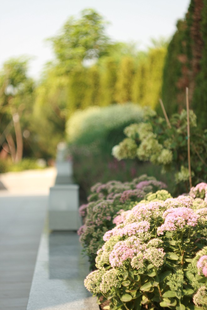 landscape design - Kirovskoe_Dnepropetrovsk region