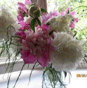 Флюза иванова