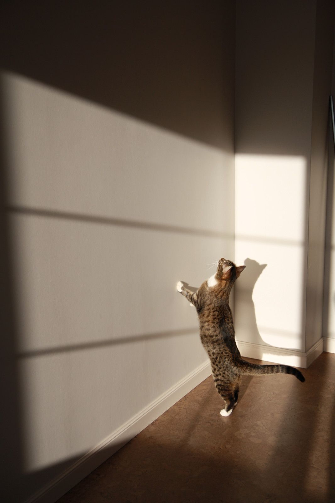 серьезный контролер