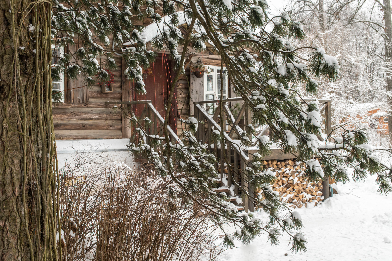 Женя Жданова Таруса, Сад Ракицкого