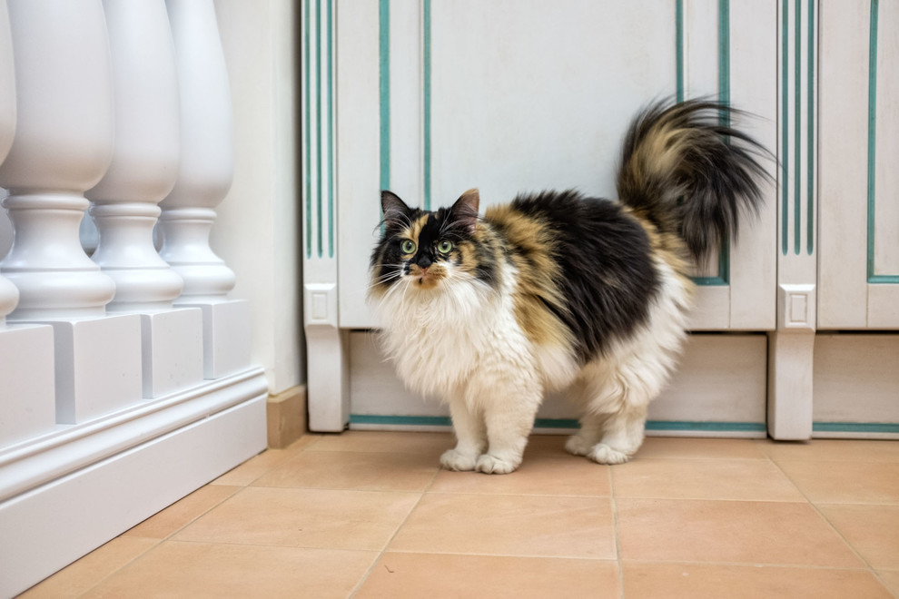 Реализованный проект в московском районе - Квартира в средиземноморском стиле