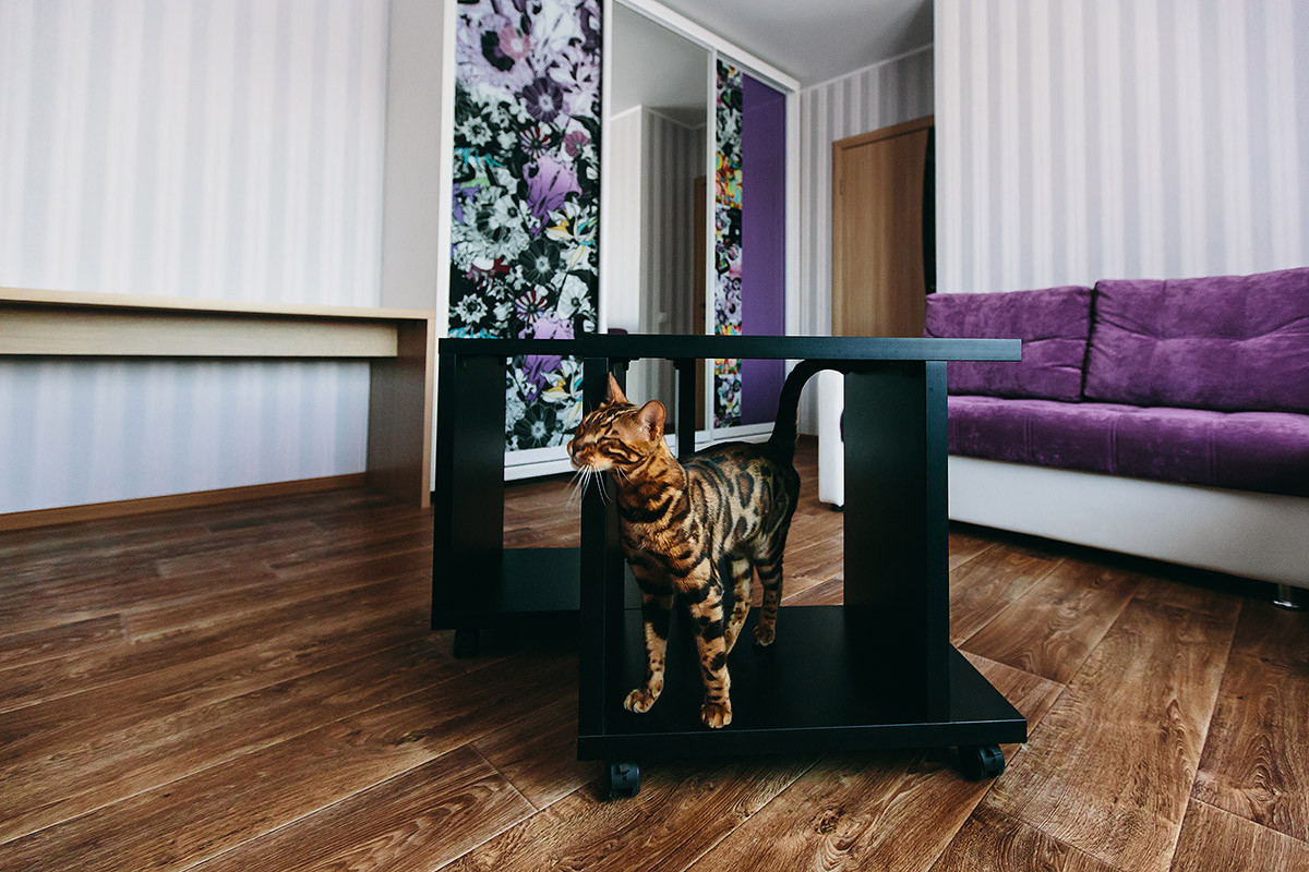 Обложка альбома: Идеи пользователя webuser_235776978