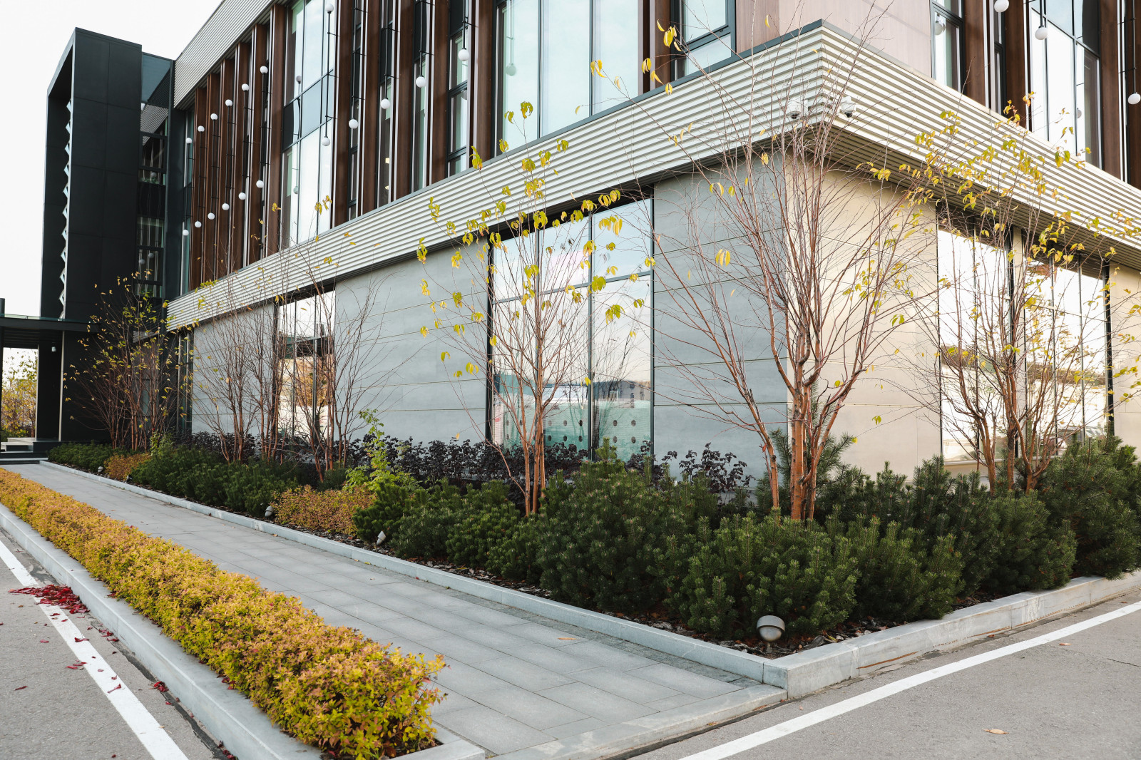 Оформление территории у офисного здания